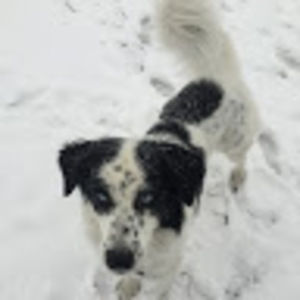 Meet your Posher, Tessa